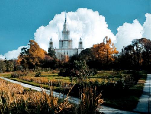 Фотовыставка фауны российской Арктики открылась в Ботаническом саду МГУ Фотовыставка фауны российской Арктики открылась в Ботаническом саду МГУ