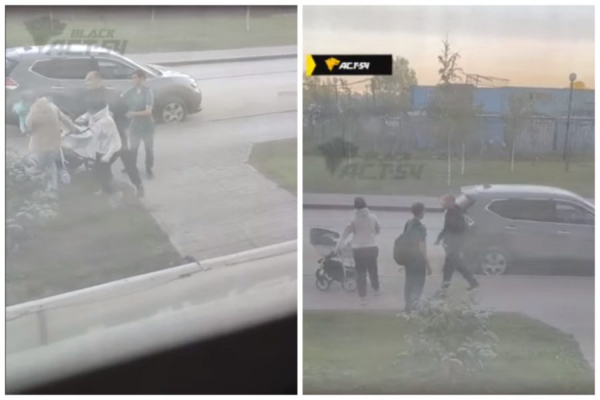 Невменяемый сибиряк напал на женщину с коляской на Забалуева Невменяемый сибиряк ударил женщину0