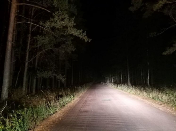 В Ковалево нашли странные останки неизвестного человека В Ковалево нашли странные останки неизвестного человека