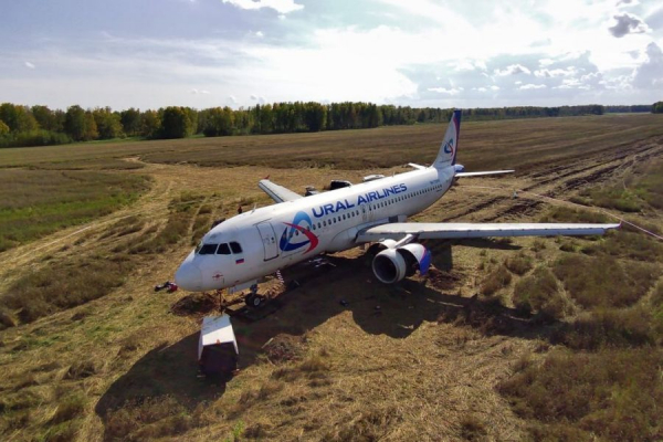 Росавиация отменила итоги расследования аварийной посадки Аэробуса в поле под Новосибирском Росавиация отменила итоги расследования аварийной посадки Аэробуса в поле под Новосибирском.0