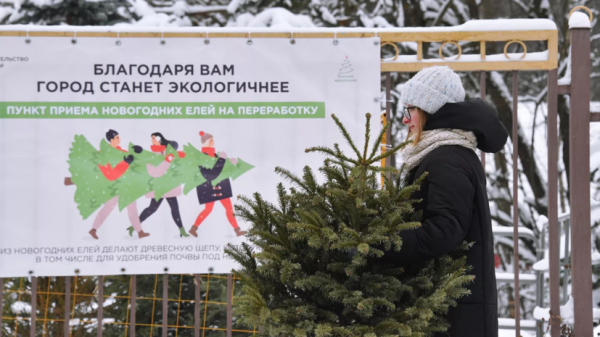 Пункты приёма ёлок в Москве будут работать до 25 февраля Пункты приёма ёлок в Москве будут работать до 25 февраля