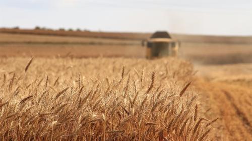 Страны ЕС призвали Еврокомиссию ввести пошлины на сельхозпродукцию с Украины Страны ЕС призвали Еврокомиссию ввести пошлины на сельхозпродукцию с Украины