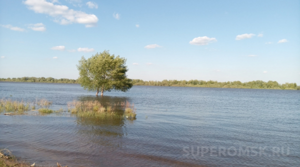 Уровень Иртыша на севере Омской области вырос почти в 8 раз Общество0