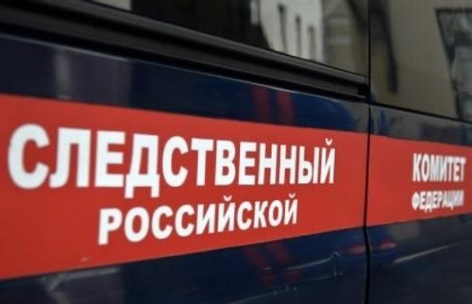 МВД РФ: пропавшую в Кемерове 12-летнюю девочку нашли мертвой МВД РФ: пропавшую в Кемерове 12-летнюю девочку нашли мертвой