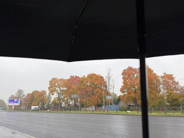 В Петербурге ожидается ветреная погода с легким дождем. Петербуржцев ждет ветреный день с небольшими дождями
