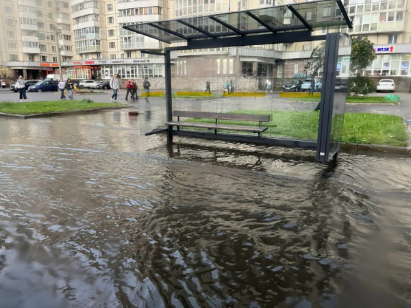 В Петербурге за сутки выпало свыше 70% месячной нормы осадков, установив рекорд. Петербургские осадки побили рекорд: за сутки выпало более 70% месячной нормы