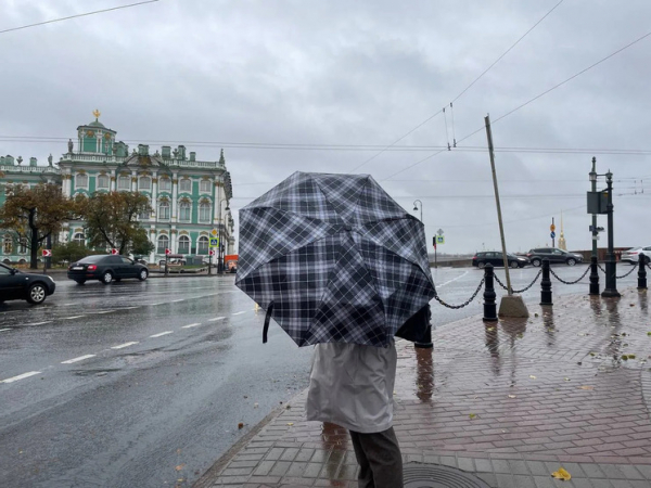 Петербургским жителям сообщили о сильных дождях и похолодании с 10 сентября. Петербуржцев предупредили о сильных ливнях и похолодании с 10 сентября